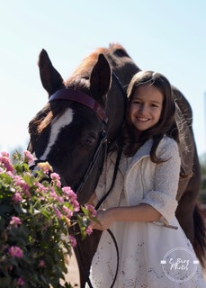 horse stables phoenix az